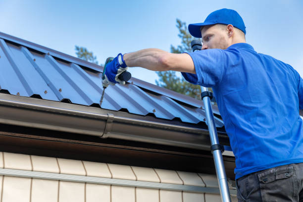 Best Roof Moss and Algae Removal  in Riverside, PA